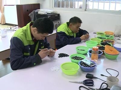 振奮人心 | 東興區(qū)殘疾人就業(yè)創(chuàng)業(yè)正當(dāng)時(shí)！